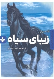 رمان ماندگار جهان-زیبای سیاه